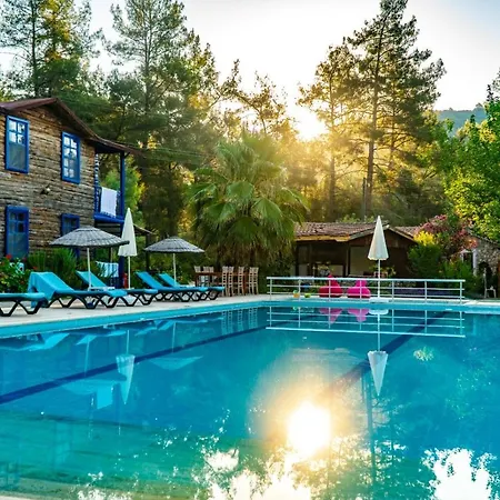 Hotel Olympos Forest House *